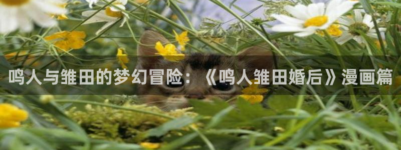 香蕉漫画免费登录入口官网：鸣人与雏田的梦幻冒险：《鸣人雏田婚后》漫画篇